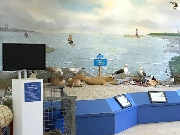 Bild 2: Nationalpark-Haus Dangast